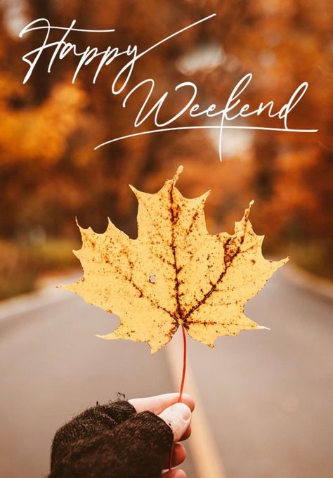 Autumn Weekend Quotes, Hello Weekend Images, Hello Weekend Quotes, Great Weekend Quotes, Weekend Therapy, Happy Thanksgiving Weekend, Fall Friday, Happy Weekend Images, Let The Weekend Begin