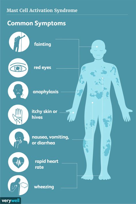 Mast Cell Activation, Neurological System, Mast Cell Activation Syndrome, Muscle Twitching, Mast Cell, Organ System, Ehlers Danlos Syndrome, Respiratory System, Vitamin B3