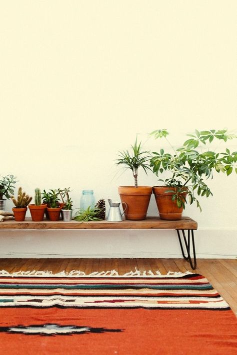 wood bench + plants Plant Bench, Pinterest Plant, Pretty Rug, Pin Legs, Upstairs Hallway, Deco Nature, Plant Table, Hairpin Legs, My Brain