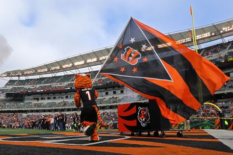 Bengals Aesthetic, Manchester United Stadium, Football America, Bengals Football, Lions Football, St Louis Rams, Nfl Packers, Ohio State Football, Nfl Cheerleaders