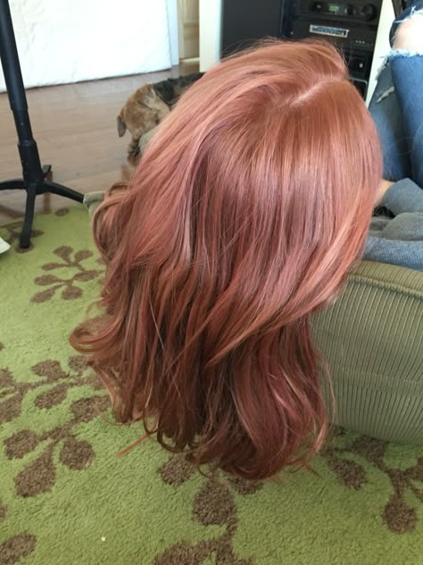 Rise Gold Hair, Rose Hold Hair, Strawberry Hair Color Pink, Ginger Rose Gold Hair, Rose Ginger Hair, Rose Color Hair, Strawberry Shortcake Hair Color, Ginger With Pink Highlights, Gingerbread Hair Color