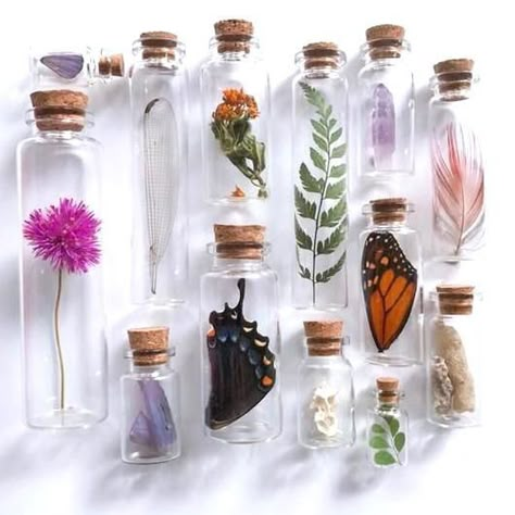 Witch Boutique, Mini Flower Vase, Essential Oils Diy, Animal Vegetable, Witchy Crafts, 20 Questions, Nature Collection, Witch Aesthetic, Mini Bottles