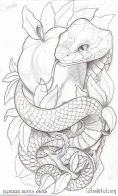 Adam & eve tattoo Snake And Apple, Apple Tattoo, Serpent Tattoo, Snake Drawing, Kunst Tattoos, Marvel Tattoos, Tattoo Zeichnungen, Men Tattoos, Cat Tattoos