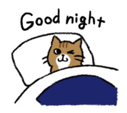 Good Night Stickers, Cat Good Night, Good Night Text, Good Night Cute, Cat Reaction Pictures Goodnight, Good Night Love, Good Night My Love, Goodnight Meme, Meme Good Night