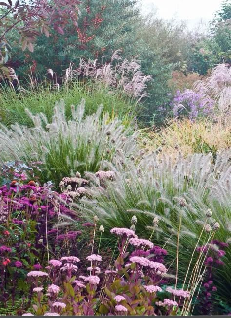 Stone Garden Plants, Side Yard Cement Ideas, Ditch Landscaping Roadside, Wild Flower Yard, Landscaping Lavender, Longfield Gardens, Prairie Garden, Front Garden Design, Meadow Garden