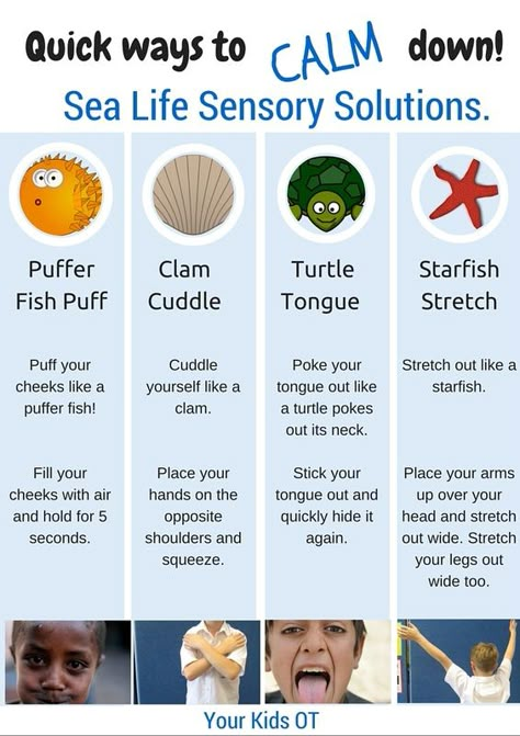 Quick ways to calm down! Sea life Sensory Solutions! Includes a free printable at Your Kids OT Conscious Discipline, Sensory Diet, Calming Strategies, Behaviour Management, School Social Work, Child Therapy, Mindfulness For Kids, Play Therapy, Mental Training