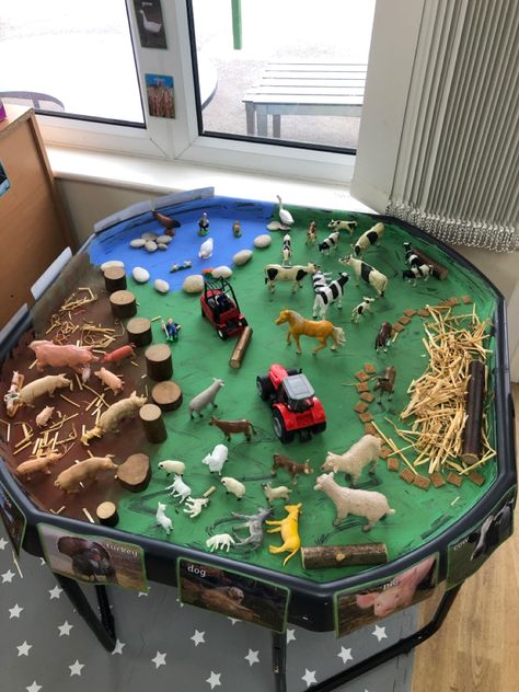 Sensory Preschool, Tuff Tray Activities, Messy Sensory Play, Farm Week, Sensory Bin Play, Farm Theme Preschool, Old Macdonald Had A Farm, Tuff Tray Ideas, Preschool Classroom Decor