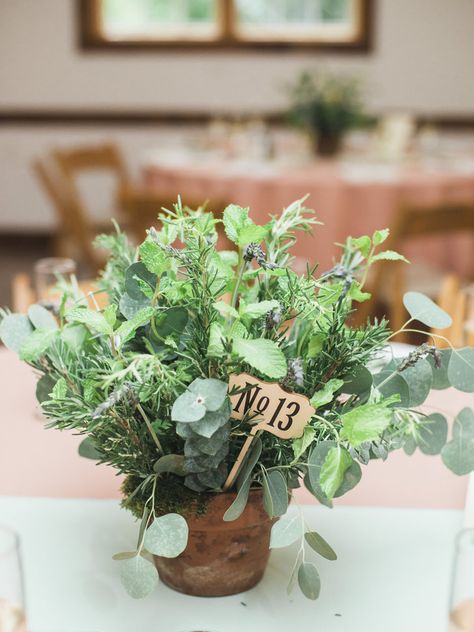 Terra-cotta pot filled with rosemary, lavender, mint and eucalyptus, or white, green and pale yellow flowers with hydrangeas, roses, lisianthus, succulent blooms, hypericum berries, dusty miller and rosemary. Herb Wedding Centerpieces, Herbs Wedding, Potted Plant Centerpieces, Herb Centerpieces, Herb Wedding, Plant Centerpieces, Rustic Beach Wedding, Tattoo Plant, Wedding Plants