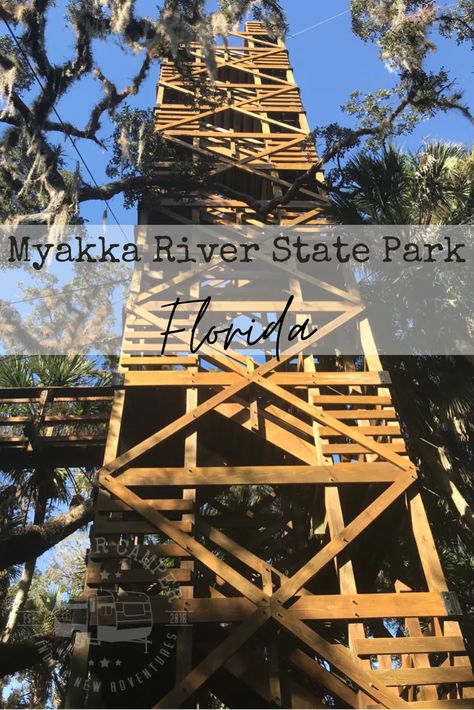 A Fun Filled Weekend at Myakka River State Park Florida Day Trips, Florida Campgrounds, Myakka River State Park, American Travel Destinations, Travel Florida, Florida Camping, Florida State Parks, Longboat Key, Spring Break Trips