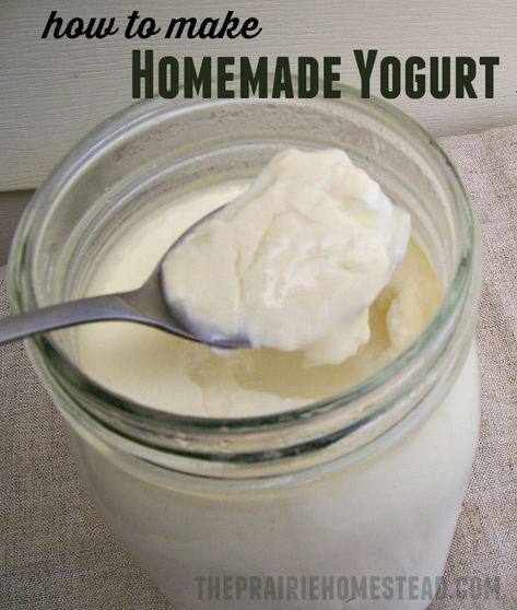 How to Make Yogurt | The Prairie Homestead Homemade Yogurt Recipes, The Prairie Homestead, Make Your Own Yogurt, Prairie Homestead, Homemade Greek Yogurt, Making Yogurt, Yogurt Maker, Homemade Yogurt, Yogurt Recipes