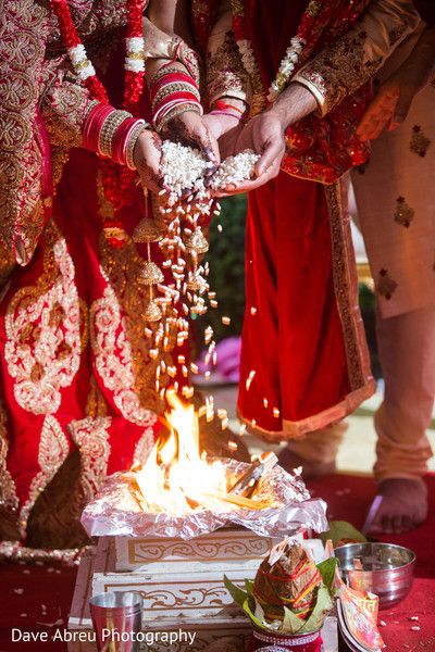 Sorry Brother, Indian Wedding Aesthetic, Marriage Poses, Indian Wedding Pictures, Bride Groom Poses, Indian Bride Photography Poses, Indian Wedding Poses, Two Love Birds, Bride Photos Poses