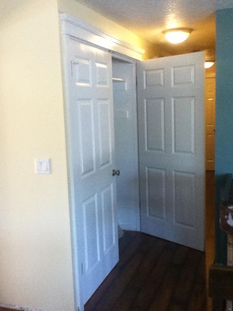 Hall Closet Doors, Two Door Closet, Converted Closet, Door Hallway, Hallway Closet, Hall Closet, Sliding Closet Doors, Solid Doors, Beach Condo