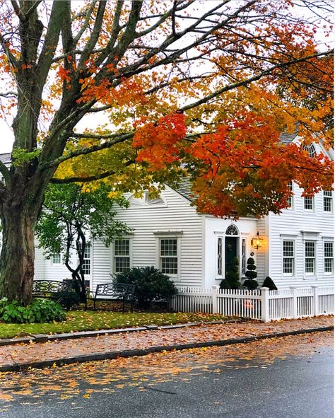 5 Favorite Fall Connecticut Towns to Visit | Kristy & New England Old New England Homes, Fall In Connecticut, Nantucket Hotels, Seaside Inn, 20 Years Of Marriage, Bare Trees, Happy November, Colonial Exterior, New England Travel