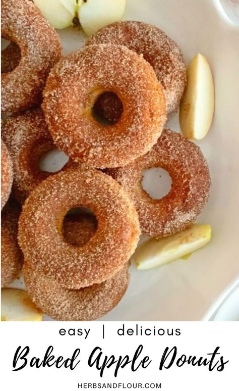 Delicious Baked Apple Donuts, made with fresh apples apples and coated in cinnamon sugar are the perfect fall treat! These donuts are easy to make in a donut pan, can be made in one bowl and are so yummy, you’ll be asking yourself why you don’t make them more often! Homemade Baked Donuts, Mini Donut Recipes, Fall Donuts, Apple Cider Donuts Recipe, Apple Cider Donuts Baked, Donut Pan, Homemade Donuts Recipe, Apple Donuts, Cinnamon Donuts