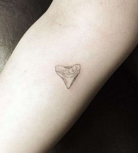 1,425 Likes, 16 Comments - Shannon Perry (@shannoneperry) on Instagram: “lil shark tooth for chelsea #tattoo #valentinestattooseattle” Simple Shark Tooth Tattoo, Tattoo Shark, Shark Tooth Tattoo, Tooth Tattoo, Florida Tattoos, Shark Tattoo, Theme Tattoo, Hawaiian Tattoo, Shark Tattoos