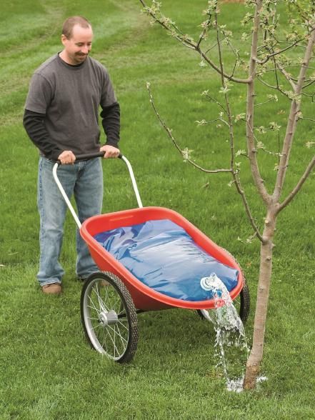 Mistake No. 4: Not Watering New Trees Pruning Shrubs, Gerobak Dorong, Winter Gardening, Hgtv Garden, Garden Cart, Kraf Diy, The Grass, Winter Garden, Lawn Care