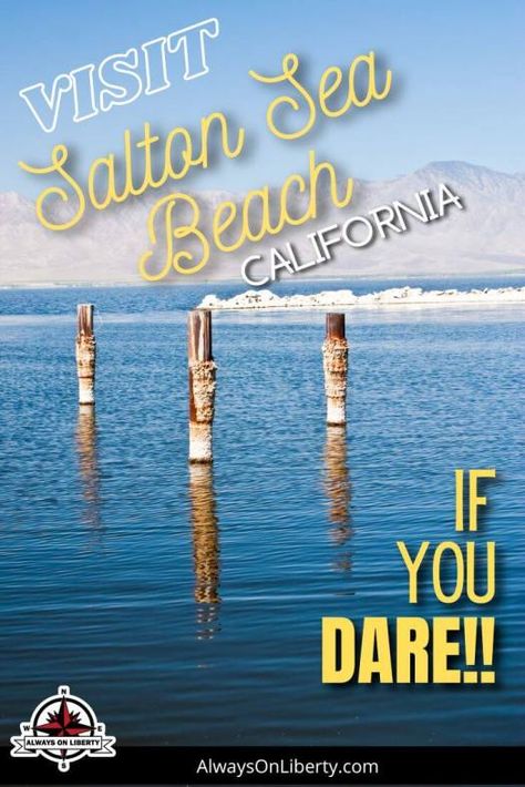 Why You Should Never Visit Salton Sea Beach! Salton Sea California, Salton Sea, Rv Lifestyle, Shell Beach, American Travel, Sea Beach, Rv Life, Your Shoes, Beach Town