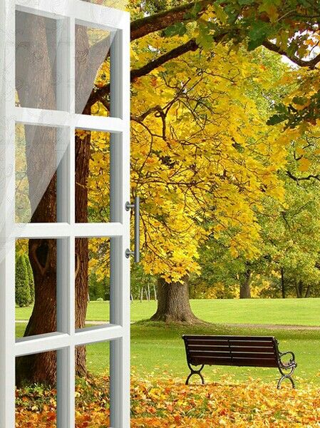 A window to the autumn Autumn Magic, Autumn Scenes, Autumn Scenery, Window View, Autumn Beauty, Through The Window, Autumn Cozy, Lombok, Autumn Garden