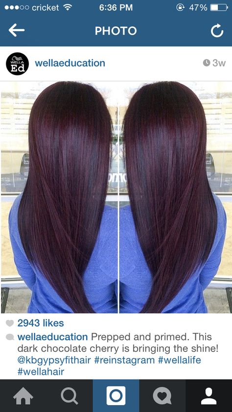 Black cherry hair color Black Cherry Hair Color, Black Cherry Hair, Cherry Hair Colors, Hair Color Plum, Plum Hair, Cherry Hair, Hair Color Black, Dark Red Hair, Red Highlights