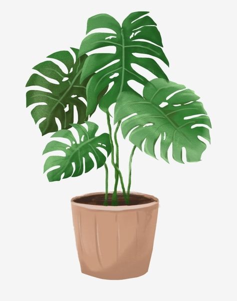 hand drawn potted illustration,beautiful potted plant,brown flower pot,green leaves,plantain leaf plant,cartoon illustration,flower clipart,leaf clipart,cartoon clipart,plant clipart,pot clipart,leaves clipart Tanaman Png, Plants Cartoon, Plant Paintings, Green Flower Pots, Plant Clipart, Plant Cartoon, Spring Flowers Background, Plantain Leaves, Cactus Illustration