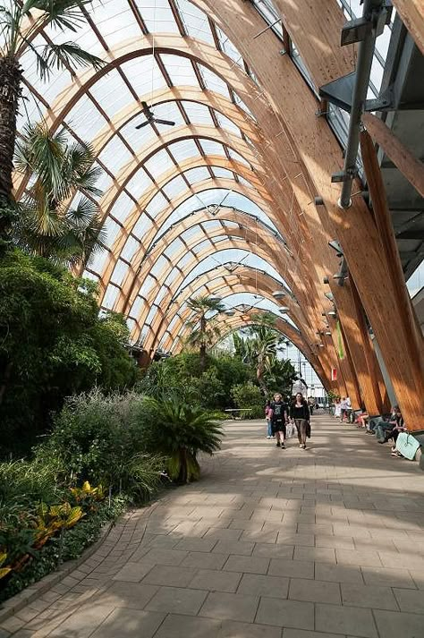 Sheffield Winter Gardens, Garden Market Ideas, England Sheffield, Sheffield City, Winter Gardens, South Yorkshire, Garden Architecture, Steel City, Architecture Design Concept