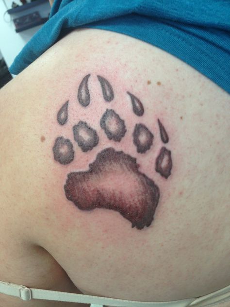 Bear Paw Tattoo, Bear Paw Tattoos, Paw Tattoos, Paw Tattoo, Bear Paw, Bear Paws, Tattoo Inspo, Print Tattoos, Paw Print Tattoo