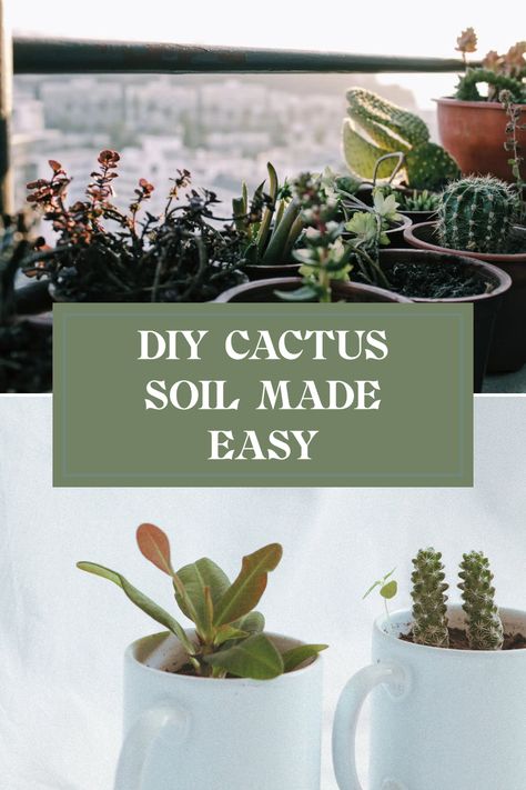 Want to keep your cactus happy and thriving? Learn how to create your own cactus soil with this easy, step-by-step guide! Perfect for indoor planning, making your own potting mix has never been simpler. Our friendly tips will help you pick the right ingredients based on your cacti type. Say goodbye to store-bought mixes loaded with additives and hello to a custom option that provides great drainage and aeration! Let’s get your little green buddies the environment they need at home when you make your own cactus soil mix today. Diy Cactus, Plant Tissue, Cactus Types, Cactus Diy, Interior Design Games, Online Interior Design Services, Online Interior Design, Organic Matter, Garden Soil