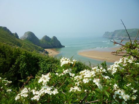 Three Cliffs Bay, Gower Peninsula-taken by my friend Darren two days ago! Three Cliffs Bay Wales, Gower Peninsula, Wales Uk, Dream Places, Deja Vu, Swansea, My Friend, Wales, The Good Place