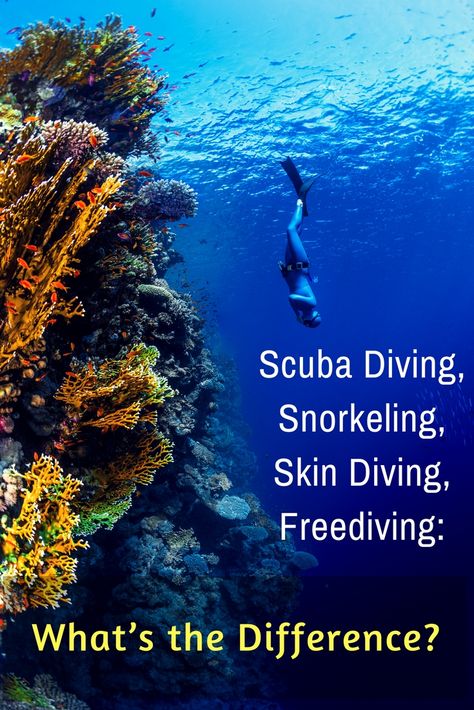 You have plenty of friends who don’t dive. Here’s how to explain to them the difference between scuba diving, snorkeling, skin diving and freediving. Swimming For Beginners, Thailand Activities, Colombia Country, Koh Samui Beach, Skin Diving, Travel Colombia, Rescue Diver, Cave Diving, How To Explain