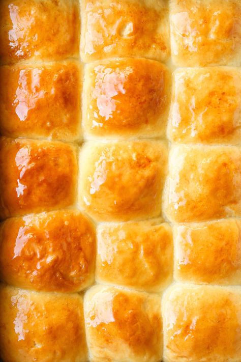 Make Ahead Yeast Rolls Make Ahead Yeast Rolls, Make Ahead Dinner Rolls, Overnight Dinner Rolls, Rolls Thanksgiving, Vegan Dinner Rolls, Dinner Roll Recipe, Homemade Yeast Rolls, Thanksgiving Rolls, Yeast Rolls Recipe