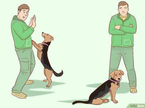 How To Train A Dog Not To Jump, How To Get Your Dog To Stop Jumping, Dog Jumping On People, Training Dog Not To Jump, How To Stop Dog From Jumping On People, How To Stop Your Dog From Jumping, Stop Dog From Jumping On People, Teach Dog Not To Jump On People, Stop Dog Jumping