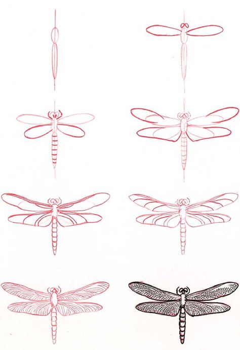 Libelle malen Draw A Dragonfly, Dragonfly Drawing, Dragonfly Art, Art Instructions, Drawing Lessons, Doodle Drawings, Dragonflies, Drawing Techniques, Pencil Art