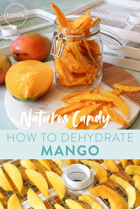 Dehydrate Lemons In Dehydrator, Raw Food Dehydrator Recipes, How To Dehydrate Mango, Dehydrated Mango In Dehydrator, Mango Dehydrator Recipes, Magic Mill Dehydrator Recipes, Dehydrate Mango, Dehydrating Mango, Dried Mango Recipe