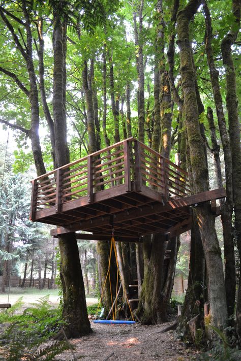 Treehouse Between 2 Trees, Tree Platforms For Adults, Platform Treehouse Plans, Simple Tree Platform, Treehouse With Deck, Tree Platform Ideas, Tree Deck Platform, Platform Treehouse For Kids, Easy Diy Treehouse