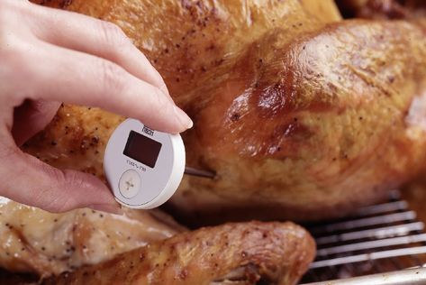 How to Check the Internal Temperature on a Turkey Temperature To Cook Turkey, Turkey Temp, Turkey Temperature, Turkey Thigh, Cooked Chicken Temperature, Turkey In Oven, Turkey Cooking Times, Turkey Thighs, Roast Turkey Recipes