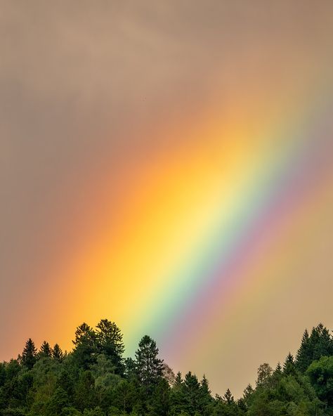 Rainbow / Arc-en-ciel / Image by Ronald Seidlböck (rseidlboeck) from flickr Rainbow