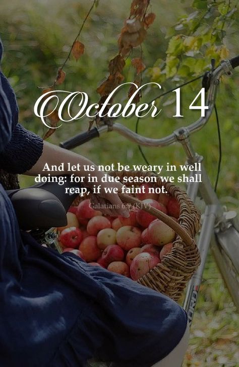 November Scripture, October Scripture, Thankful Bible Verses, October Blessings, November Blessings, December Scriptures, October Images, A Servants Heart, Loneliness Photography