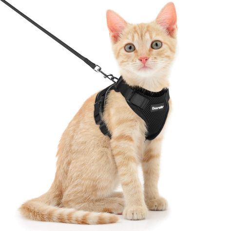 Dooradar Cat Harness and Leash Set, Escape Proof Safe Adjustable Kitten Vest Harnesses Cat Skin Problems, Kitten Harness, Cat Harness And Leash, Bath Salt Gift Set, Spoiled Pets, Getting A Kitten, Harness And Leash Set, Cat Skin, Cats Black