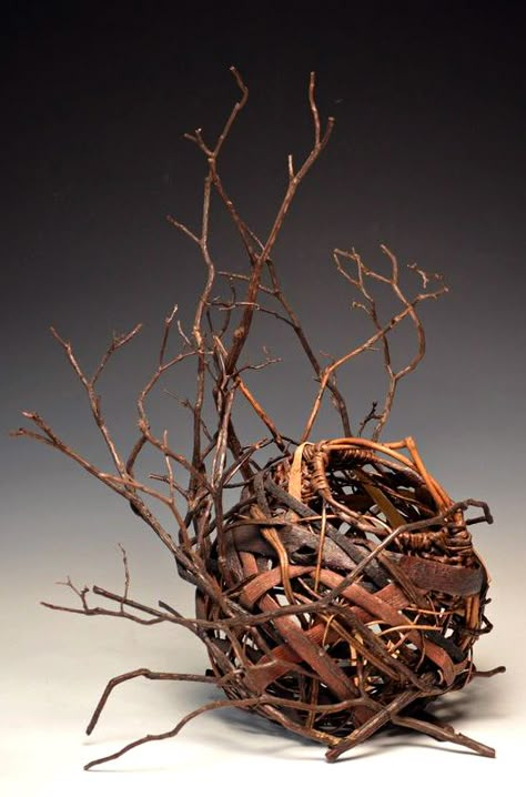 Matt Tommey, Artist,  Sculptural Piece - Basket nested in laurel branches. 16"x24" Inventory Art, Laurel Branch, Contemporary Baskets, Twig Art, Willow Weaving, Pine Needle Baskets, Deco Nature, Basket Making, Basket Case