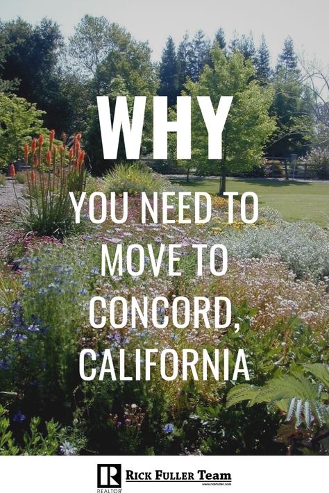 Concord California, Contra Costa County, Place To Visit, The Bay Area, Bay Area, Cool Places To Visit, Bucket List, San Francisco, Places To Visit