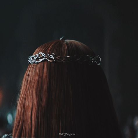 Sansa Stark Aesthetic, Trinket Collection, Stark Aesthetic, Royal Room, The North Remembers, White Walker, House Stark, Tyrion Lannister, Iron Throne