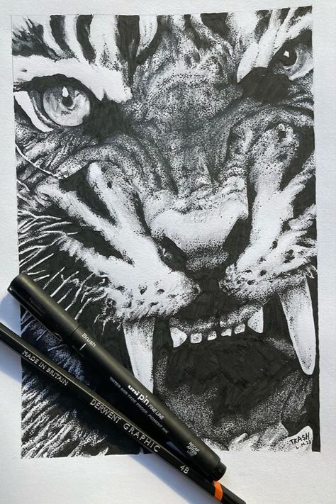 Tiger Ink Drawing, Tiger Drawings, Animal Drawing Ideas, Project Tiger, Drawing Grid, Tiger Sketch, Cool Tiger, Beautiful Dawn, Drawing Arts