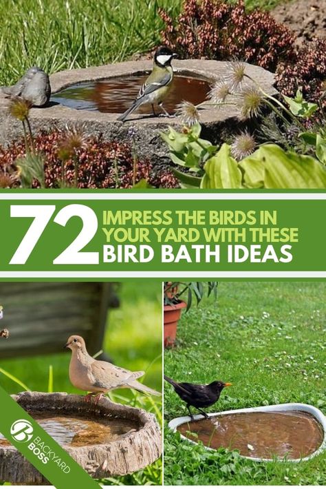 Birdbath Ideas Landscaping, Birdbath Ideas, Bird Bath Ideas, Bird Fountain, Diy Bird Bath, Bird Bath Fountain, Bird Bath Garden, For The Birds, Bird Baths