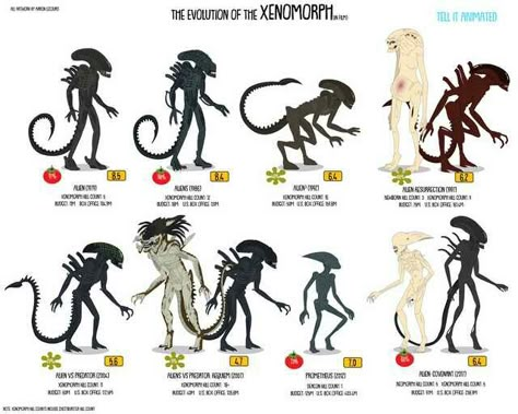 From Top Left to Bottom Right: Classic Drone(Aliens), Drone Warrior(Aliens 2), Runner Drone(Aliens 3), Newborn & Aquatic Xenomorph(Aliens: Resurrection), "Grid" Alien(Aliens VS Predator), Predalien & Drone Warrior(Aliens VS Predator: Requiem), Deacon Alien(Prometheus), & Neomorph & Protomorph(Alien: Covenant) Alien Resurrection Xenomorph, Alien Neomorph, Alien Covenant Xenomorph, Xenomorph Types, Alien Prometheus, Illustrated Infographic, Alien Warrior, Aliens Vs Predator, Sience Fiction