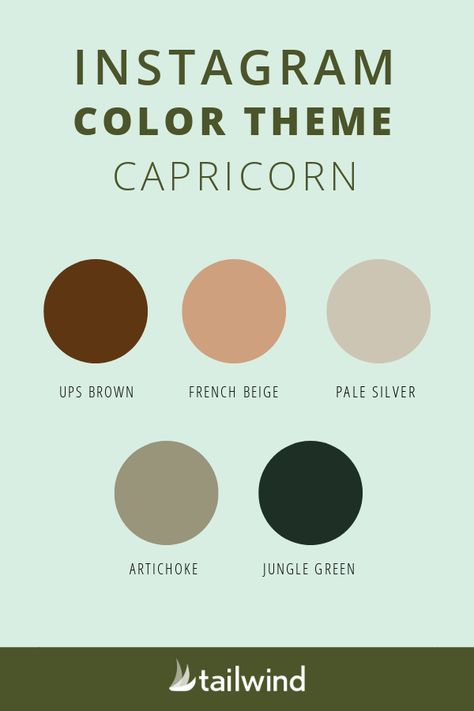 Can’t pick which Instagram color themes to style your grid with? Browse the best Instagram color themes for each zodiac sign for some celestial inspiration! #zodiac #instagramthemes Zodiac Color Palette Capricorn, Capricorn Colour Palette, Capricorn Colours, Capricorn Color Palette, Capricorn Colors, Instagram Color Themes, Zodiac Sign Colors Palette, Scorpio Color, Star Sign Capricorn