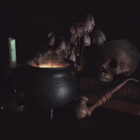 Vanitas inspired photo.  #vanitas #humanskull #cauldron Cauldron Aesthetic, Slytherin Common Room, Black Cauldron, The Black Cauldron, Magic Aesthetic, Disney Aesthetic, Human Skull, Black Magic, Dark Aesthetic