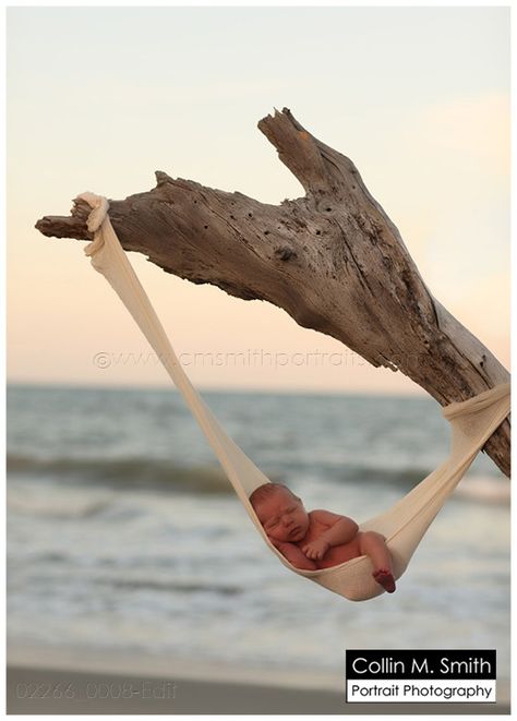 Newborn Beach Baby Photo Ideas Newborn, Beach Baby Photography, Beach Photo Ideas, Beach Hammock, Baby Pic, Baby Beach, Newborn Baby Photos, Foto Baby, Newborn Shoot