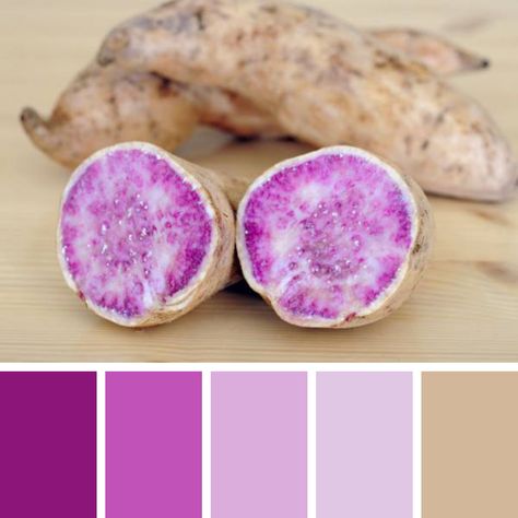 Okinawa Sweet Potato, Sweet Potato Slices, Purple Potatoes, Food Inspired, Aesthetic Color, Color Theme, Aesthetic Colors, Colour Palettes, Colour Schemes