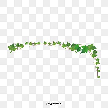 vine clipart,branch,frame,decoration,green,plant,ivy clipart,ivy,frame template,creepers Ivy Clipart, Vine Clipart, Marco Png, Branch Frame, Vine Border, Ivy Vine, Frame Decoration, Green Ivy, Holiday Banner