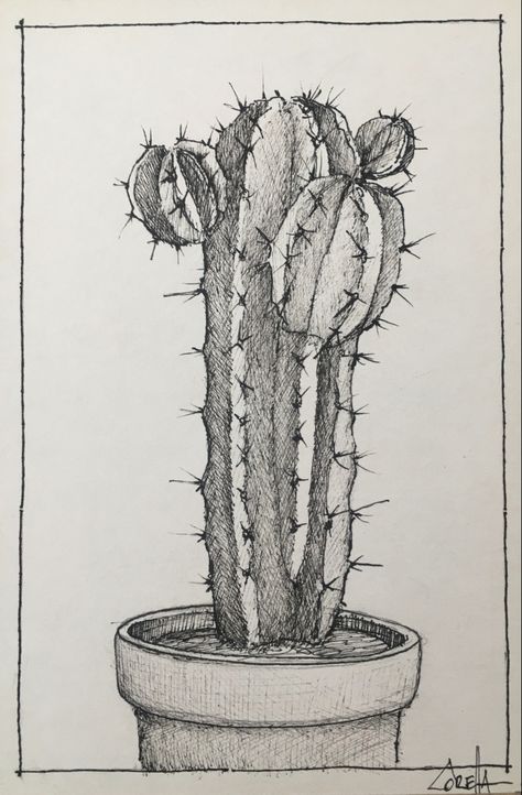 Cactus Pen Drawing, Drawing Of Cactus, Cactus Drawing Pencil, Realistic Cactus Drawing, Cactus Ink Drawing, Succulent Drawing Sketches, Plant Sketch Pencil, Sketch Cactus, Cacti Drawing